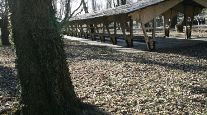 popicaria lui nikita hrusciov