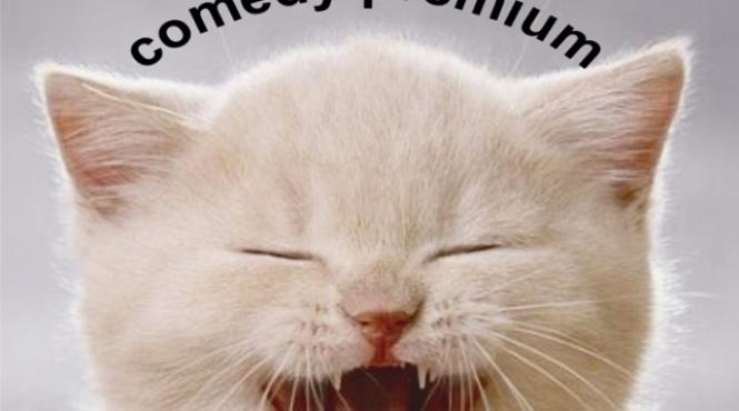 improvizati la metropolis