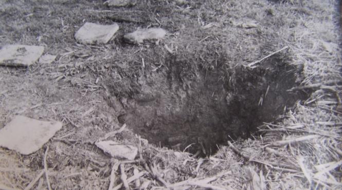 gasite dupa doua luni intr un put parasit