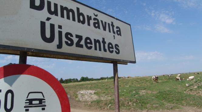 grof de dumbravita terenuri de milioane de euro invartite in familie