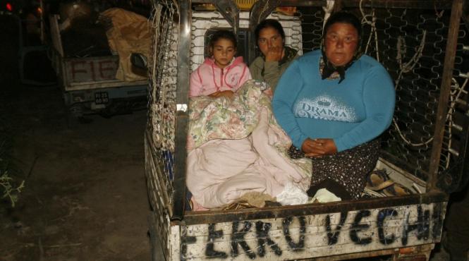 vanatoarea de tigani