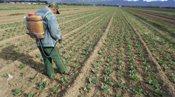 bio te fereste de boli