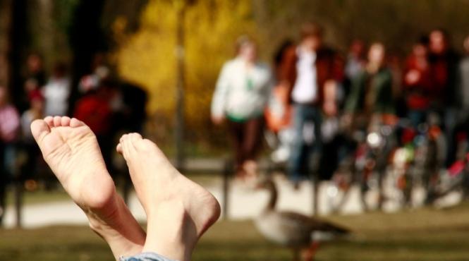 prognoza meteo vine vara bine mi pare