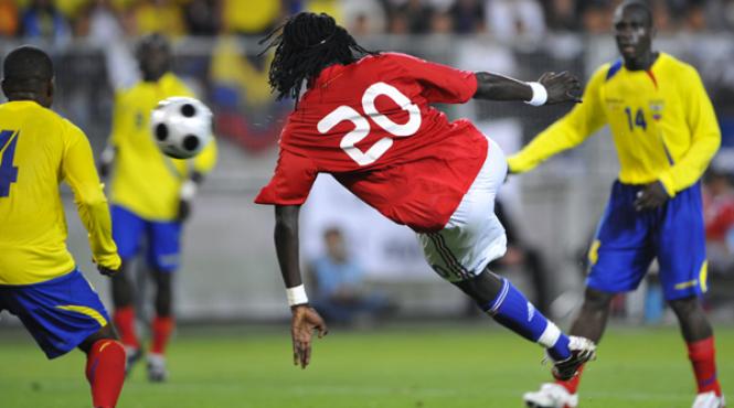 succes pentru cocosi