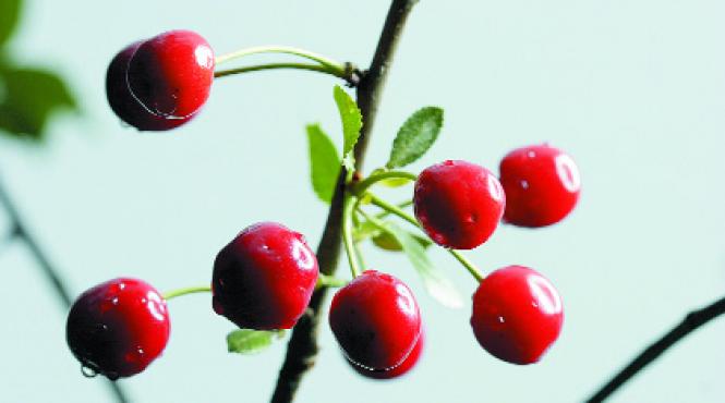 visinele iti merg la inima