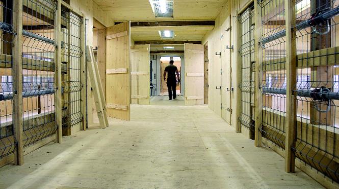 superlative si ciudatenii