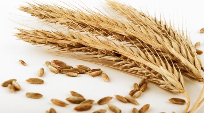 griul integral vitaminele si mineralele din cereale previn bolile cardiovasculare