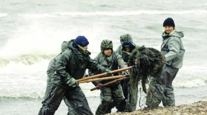 consiliul europei spune ca marea neagra este in pragul unui dezastru ecologic