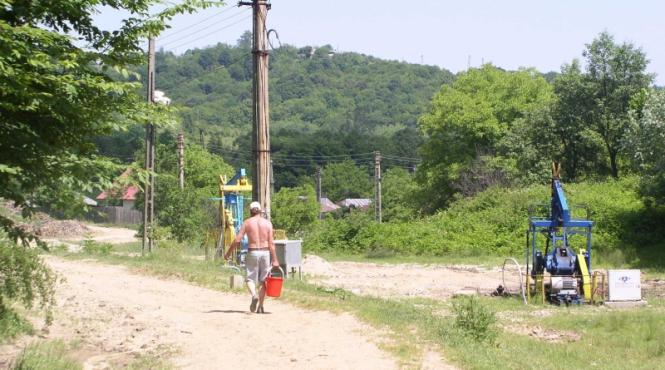 raiul infestat cu titei