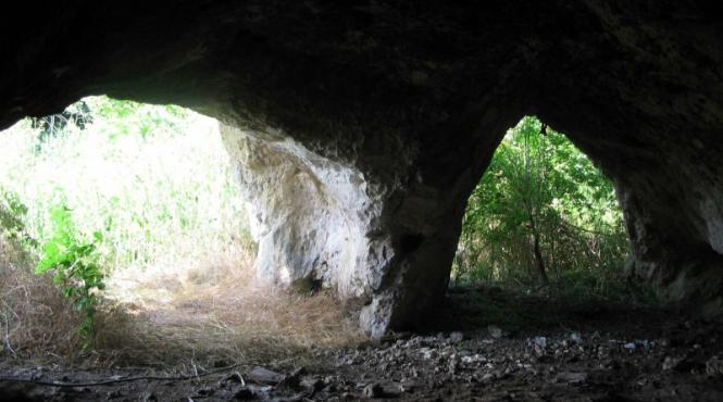 canaraua din sinul viperelor