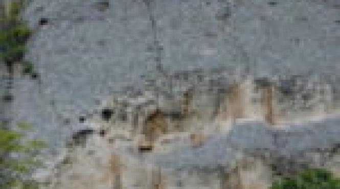 bulgaria cavalerul din madara chipul monedei euro