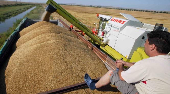 griu eco 9 200 de kilograme la hectar