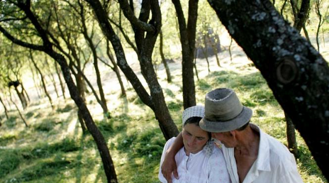 pe drumul verde al maramuresului