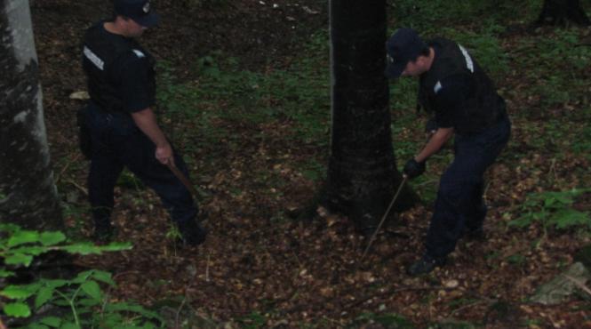 cautari fara speranta