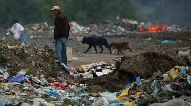 gropile de aur ale gunoierilor negriciosi