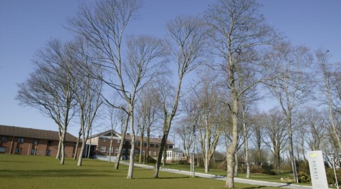 masterat la coada vacii