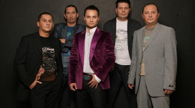 cerbului teverist i s a blocat calculatorul