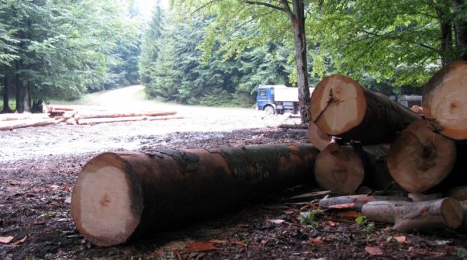 dezastrul de la semenic cheile carasului