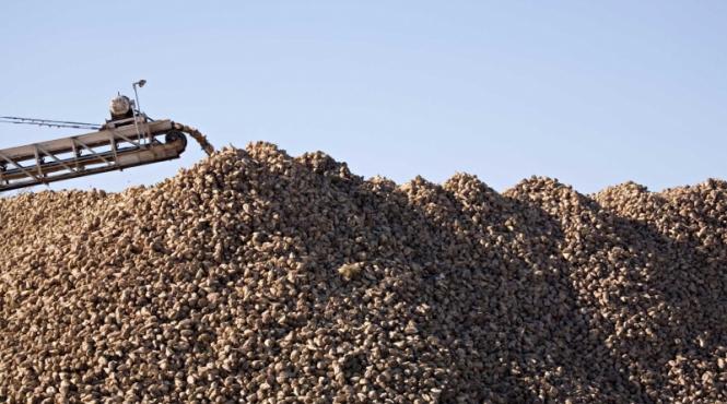 zaharul pe razatoarea ue