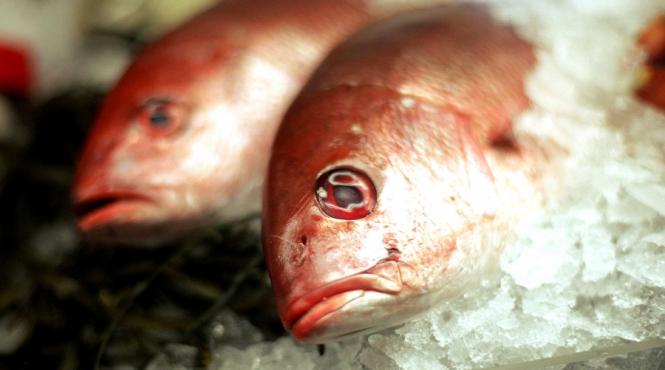 zilnic peste 12 mg de zinc