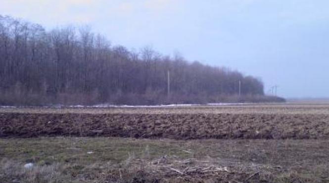 fostul director general al aibb trimis in judecata pentru un schimb de terenuri