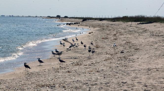 plajele virgine de pe cordonul litoral