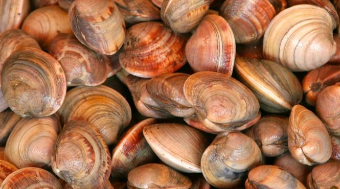 seleniul doboara virusurile