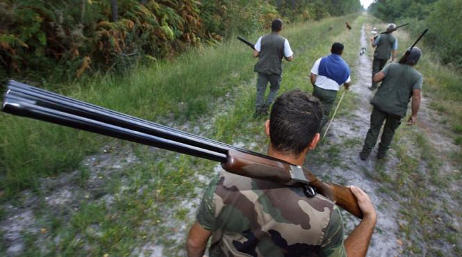 hai sa votam cu ursii