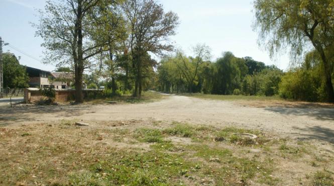 brancoveanu defrisat si asfaltat