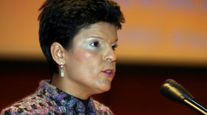 videanu vs tariceanu