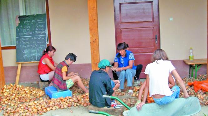 lectia de germana din inima transilvaniei