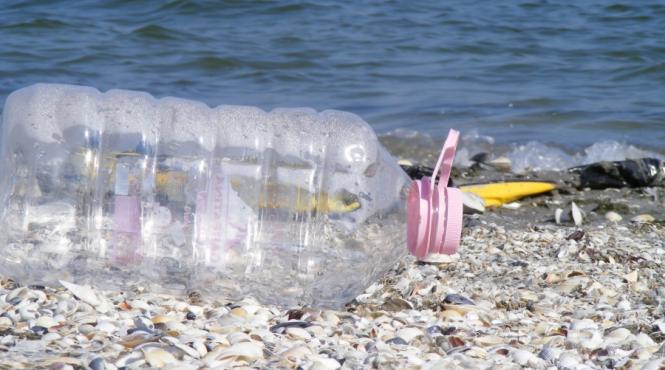 plaja corbu ultima vara de virginitate