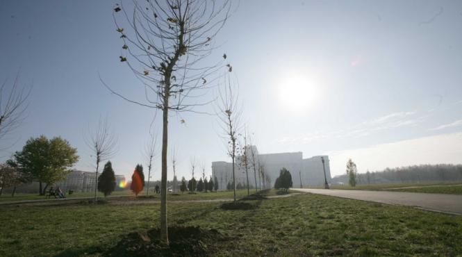 harta verde a bucurestiului dezvoltare durabila pentru parcul izvor