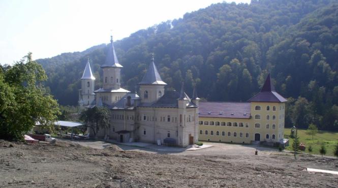 m acirc n acirc stirea nechit la rascruce de zenovii