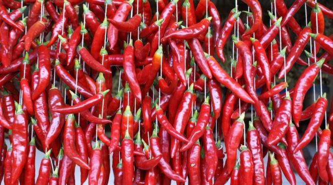 de sezon leac iute pentru raceli