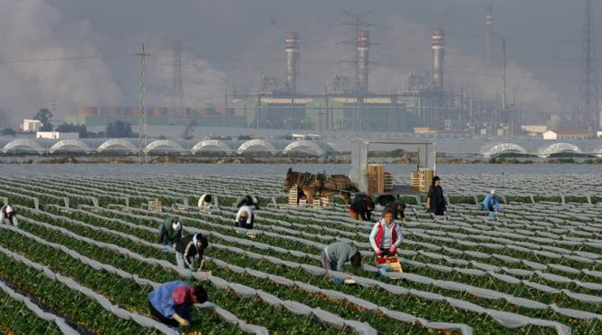 ue respecta protocolul de la kyoto