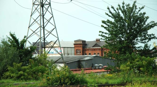 camel ul saracului romania pe traseul tigarilor interzise