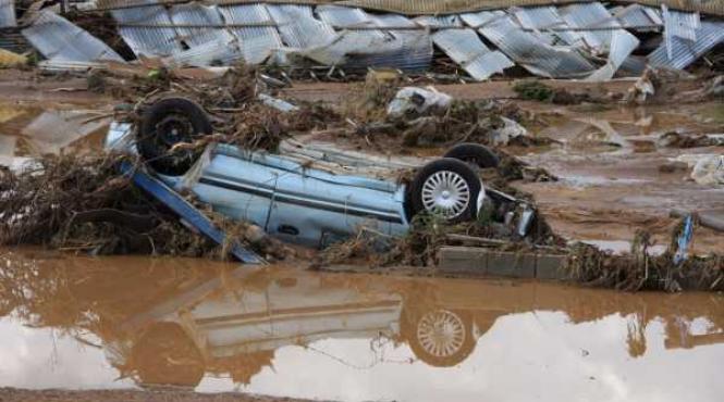 italienii se falesc romii au stat cuminti la amprentare