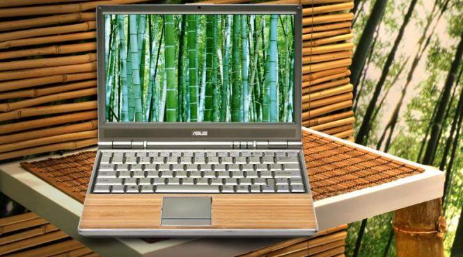 administratia publica din romania se va innoi cu laptop uri din bambus