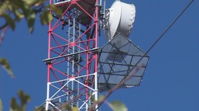 buzoienii din livada mica au dat jos un releu orange