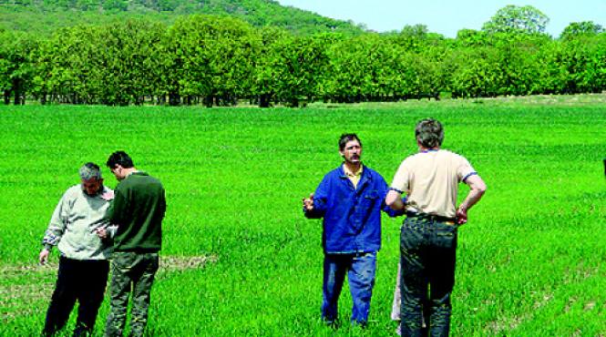 muntii macinului danezii dau bani pentru eco