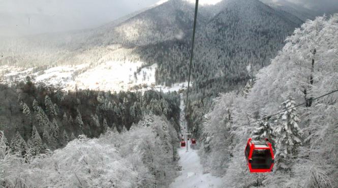 azuga il primeste pe alberto tomba