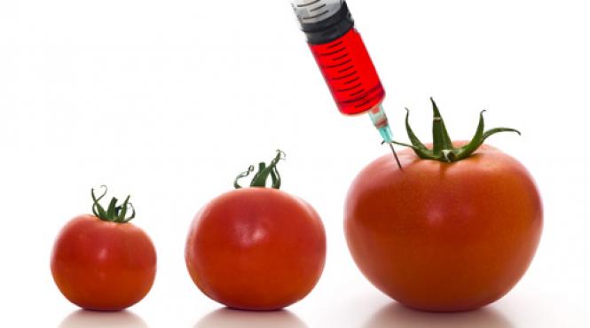 tehnologii alimente din laborator