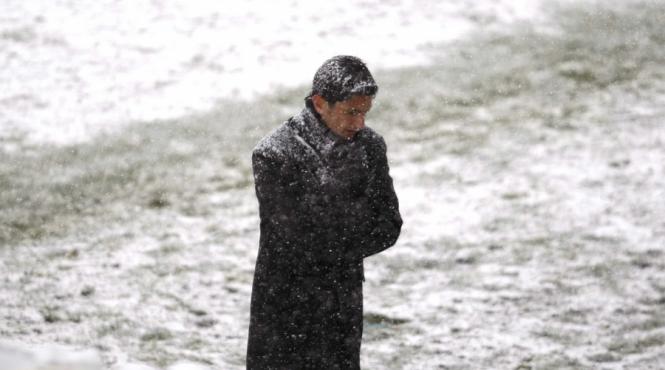 razvan lucescu sa votez mai bine ma ascund in padure