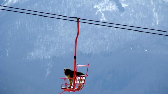 schi sau urne turistii au votat dar cu muntele