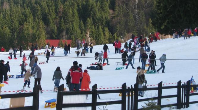 poiana brasov slalom printre masini