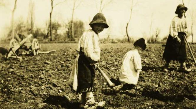 instrumente si taramuri magice