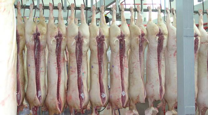 fabrica petroliera vinovata de contaminarea cu dioxina a carnii