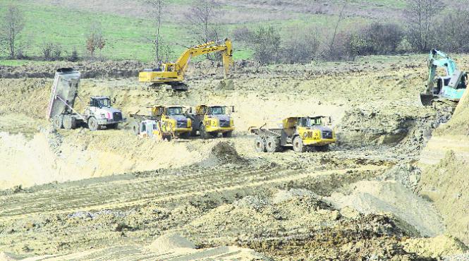 ligniti batjocura din valea bistrei