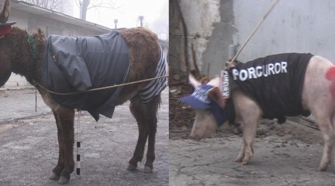 represiune la chisinau oamenii sunt arestati in plina strada